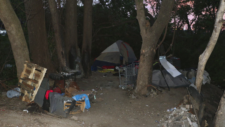 The First 48 — s29e03 — A Lonely Place to Die