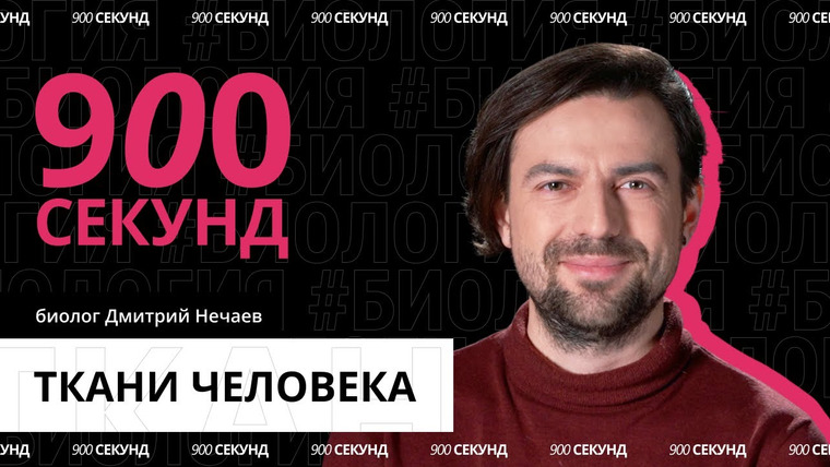 900 секунд — s02e43 — Какие бывают виды тканей человека? Узнай за 900 секунд