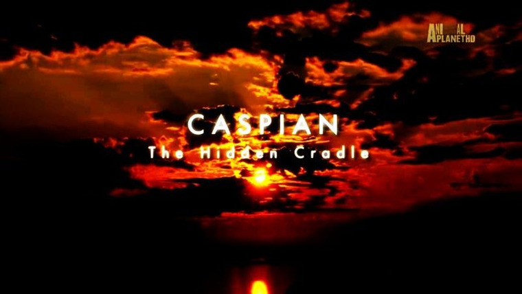 Wildest Middle East — s01e04 — Caspian: The Hidden Cradle