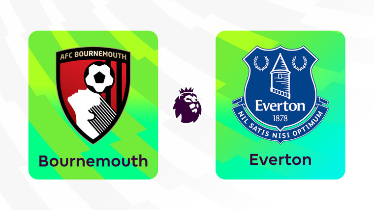 Английский футбол: АПЛ, КА, КЛ, СА — s2324e294 — PL Round 30. Bournemouth v Everton