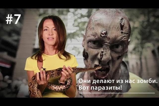 Всё как у зверей — s01e07 — ВКУЗ #7. Они делают из нас зомби. Вот паразиты!