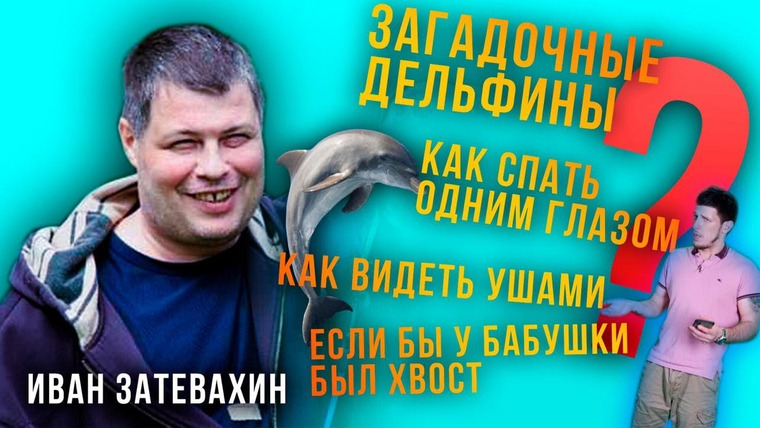 Затевахин О Животных — s01e05 — 04 || Необыкновенные способности дельфинов — 15 главных фактов