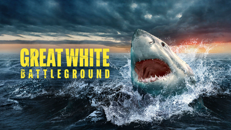 Shark Week — s2022e01 — Great White Battleground