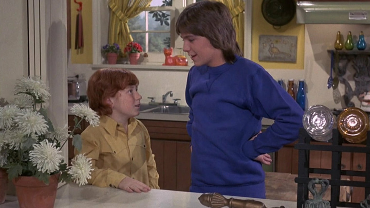 The Partridge Family — s01e11 — This is My Song