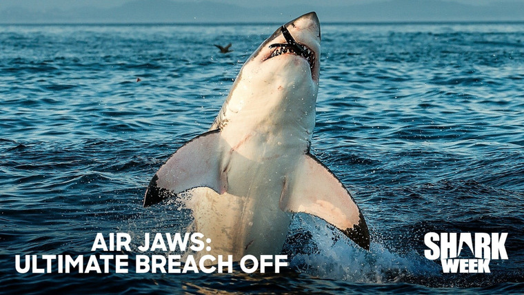 Shark Week — s2020e01 — Air Jaws: Ultimate Breach Off