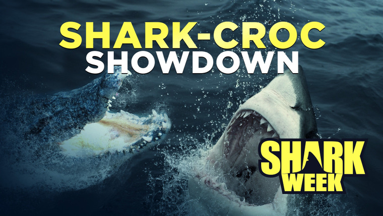Shark Week — s2017e03 — Shark-Croc Showdown