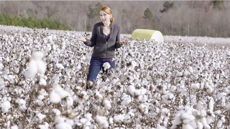 Tomorrow's World Today — s01e04 — Sustainable Cotton