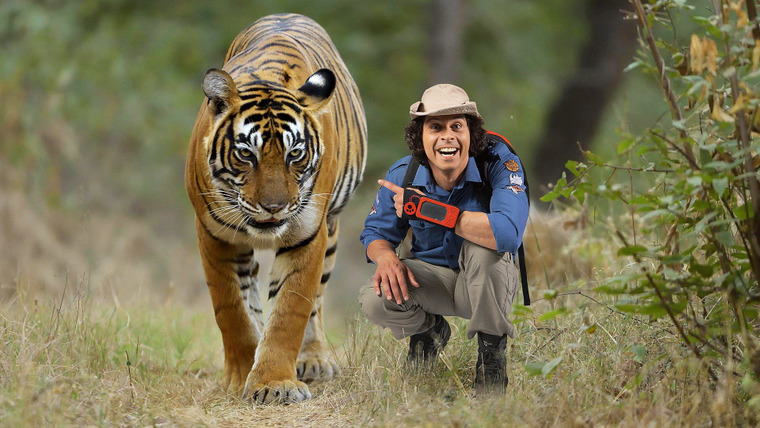 Andy's Wild Adventures — s02e04 — Tigers