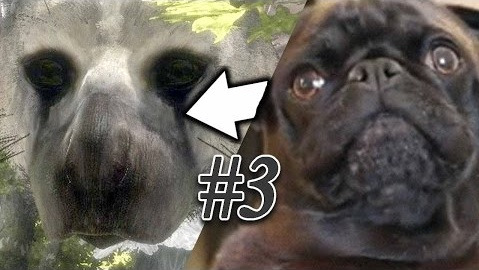 PewDiePie — s07e394 — MY DOG IS IN THIS GAME?! - The Last Guardian - Part 3