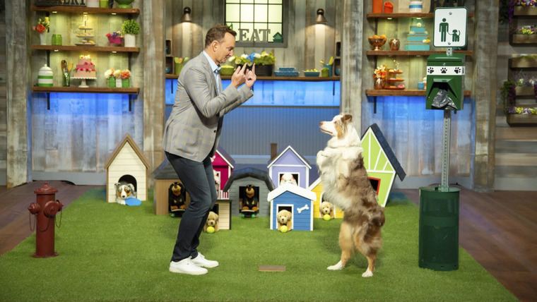 Spring Baking Championship — s06e03 — The One About Puppies and Kitties