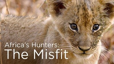 Африканские охотники — s01e04 — ​The Misfit