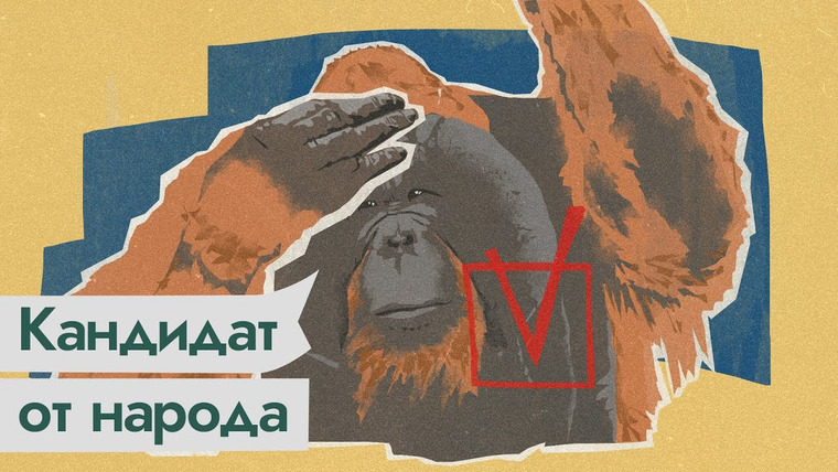 Максим Кац — s05e39 — Несогласованный кандидат-орангутан. Зачем вбрасывали против Бату