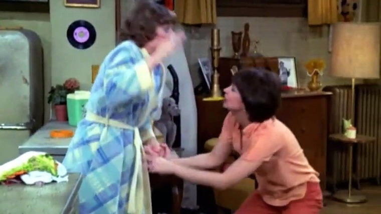 Laverne & Shirley — s04e23 — There's a Spy in My Beer