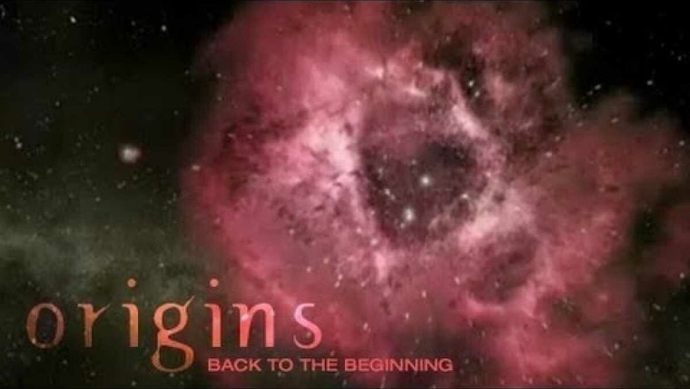 NOVA — s32e04 — Origins (4): Back to the Beginning