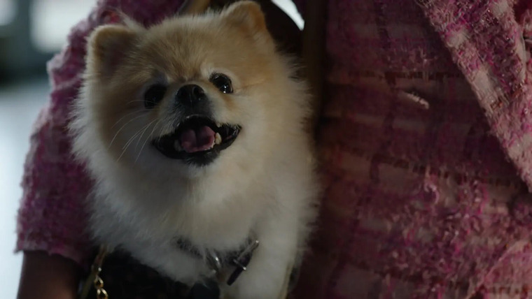 Шальные карты — s02e09 — Barking Bad