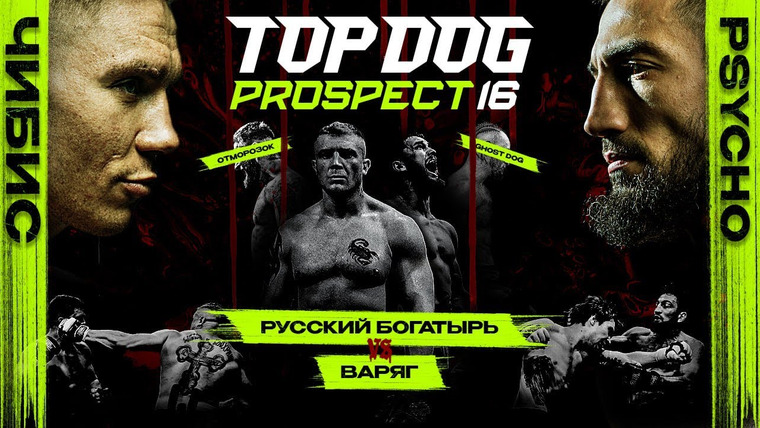 Top Dog Fighting Championship — s00 special-0 — PROSPECT 16, Рязань (Запись)