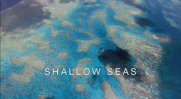 BBC: Планета Земля — s01e09 — Shallow Seas
