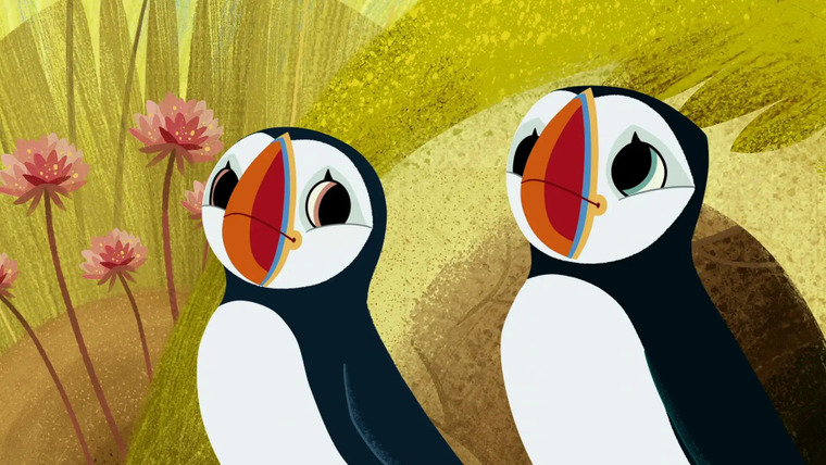 Puffin Rock — s01e26 — Spot the Puffin