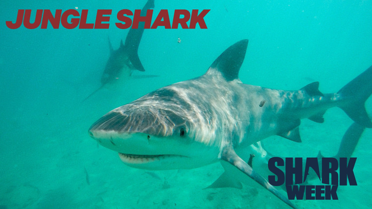 Shark Week — s2016e12 — Jungle Shark