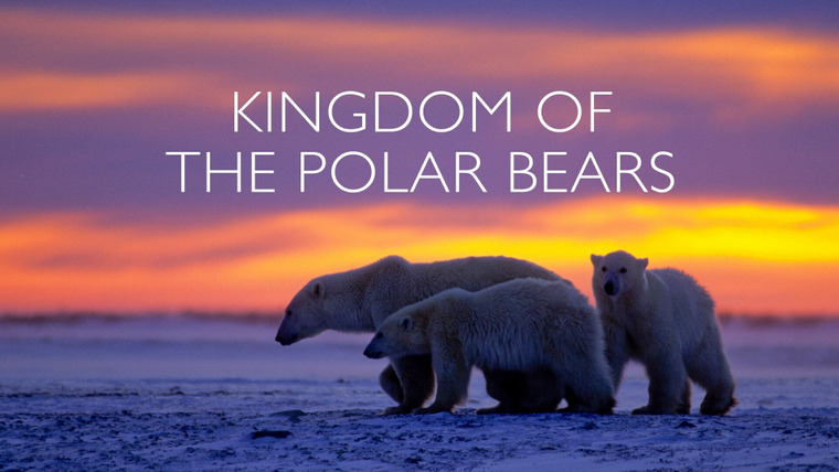 The Nature of Things with David Suzuki — s60e13 — Kingdom of the Polar Bears: Part 2