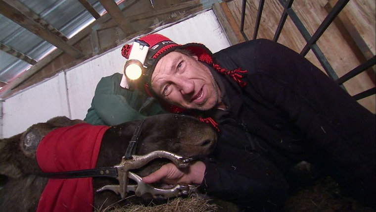 Грязная работенка — s06e14 — Animal Control Specialist