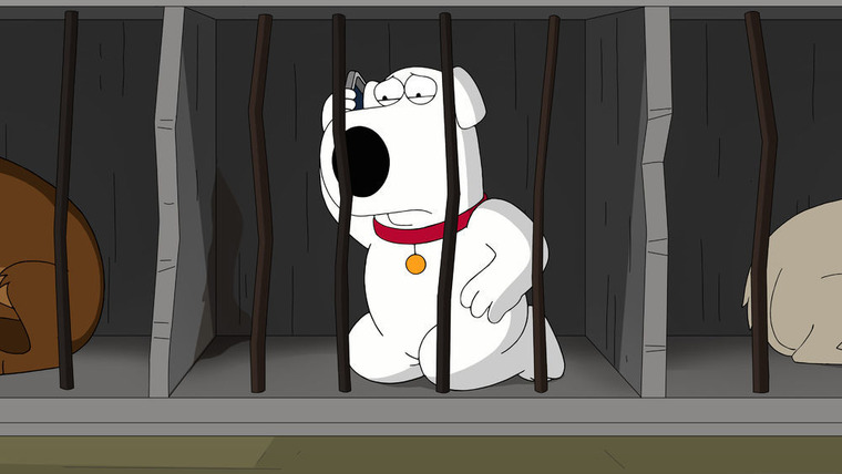 Family Guy — s16e15 — The Woof of Wall Street