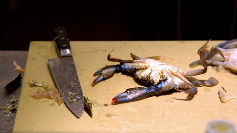 Knife Fight — s04e02 — Round 1: Live Soft Shell Crab