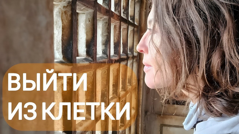 Всё как у зверей — s13e01 — ВЫЙТИ ИЗ КЛЕТКИ: стрим про психотерапию в динамической группе