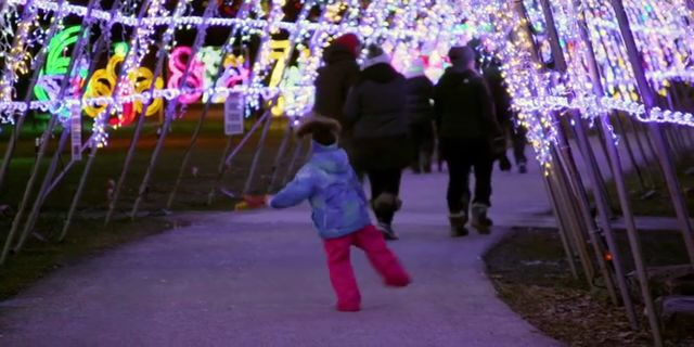 The Great Christmas Light Fight — s07e03 — Episode 3