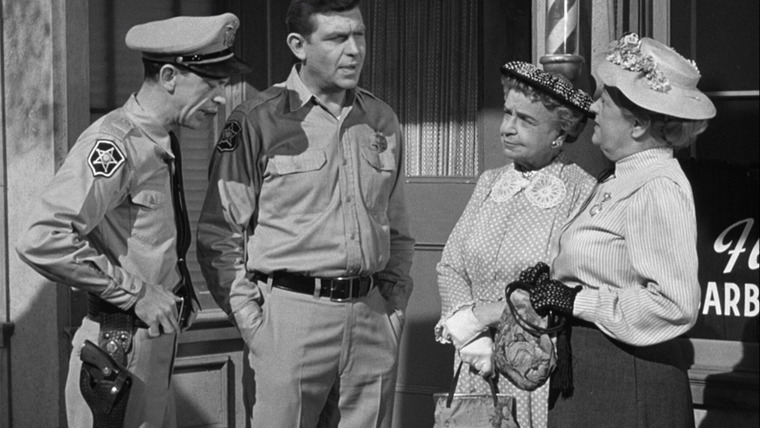 The Andy Griffith Show — s01e17 — Alcohol and Old Lace