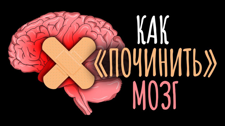 ТЕД на русском — s02e03 — Как вырастить новые нейроны и как мозг сам себя лечит
