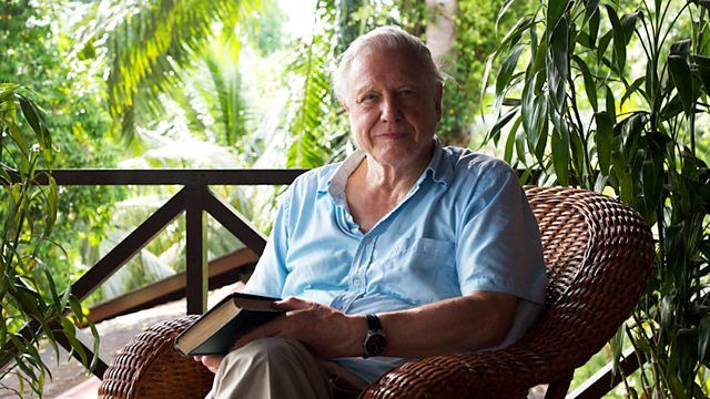 Attenborough: 60 Years in the Wild — s01e03 — Our Fragile Planet