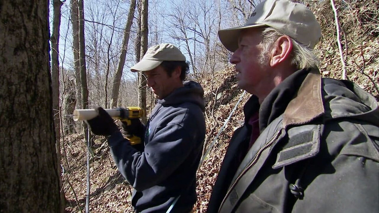 Dirty Jobs — s06e13 — Maple Syrup Maker