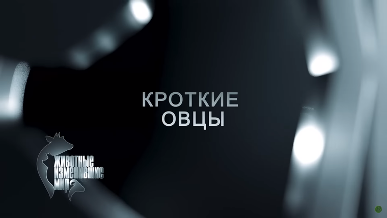 Животные, изменившие мир — s01e02 — Кроткие овцы