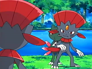 Pokémon the Series — s09e40 — Duels of the Jungle!