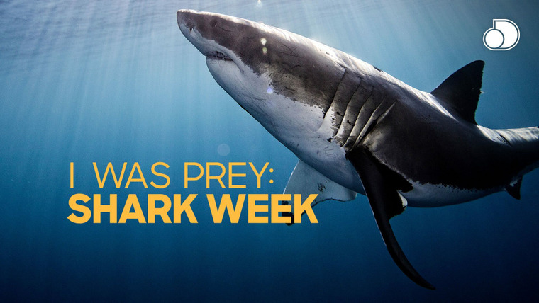 Shark Week — s2019e21 — I Was Prey: Shark Week