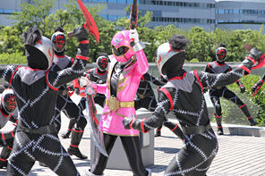 Super Sentai — s35e25 — Pirates and Ninjas