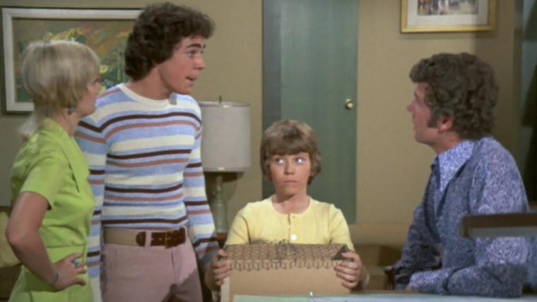 The Brady Bunch — s04e15 — Greg Gets Grounded