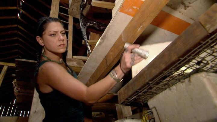 Американские коллекционеры — s03e02 — Danielle Goes Picking