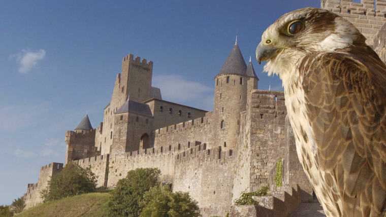 Замки дикой природы	 — s01e02 — Carcassone: The Realm of the Owl