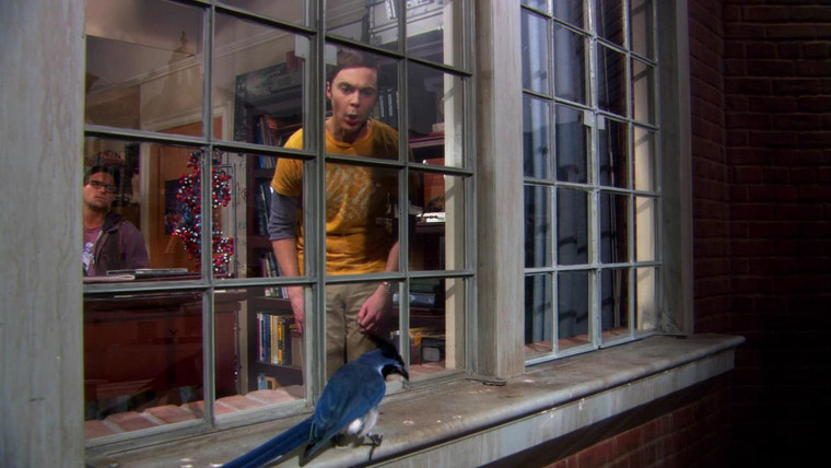 The Big Bang Theory — s05e09 — The Ornithophobia Diffusion