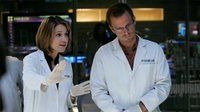 CSI: NY — s04e03 — You Only Die Once