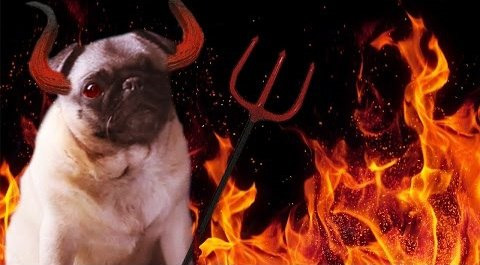 ПьюДиПай — s06e336 — MY DOG ATE ME! -- Agario -- Part 10