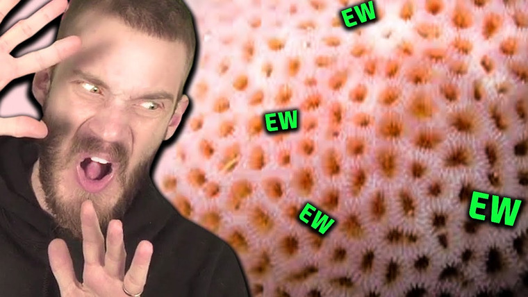 PewDiePie — s11e45 — I HATE THIS — Warning Trypophobia! (very ew) — Subnautica — Part 4