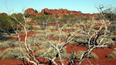 Australia's Wild Places — s01e01 — The Red Desert