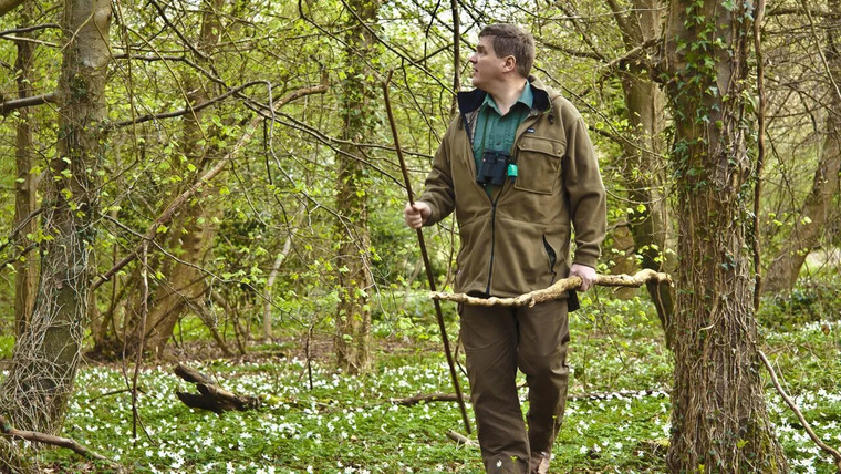 Wild Britain with Ray Mears — s01e01 — Deciduous Forest