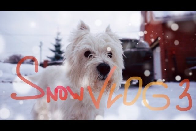 АЛЯ читает книги — s04e10 — Как не утонуть в сугробе :) #snowVLOG День 3-й