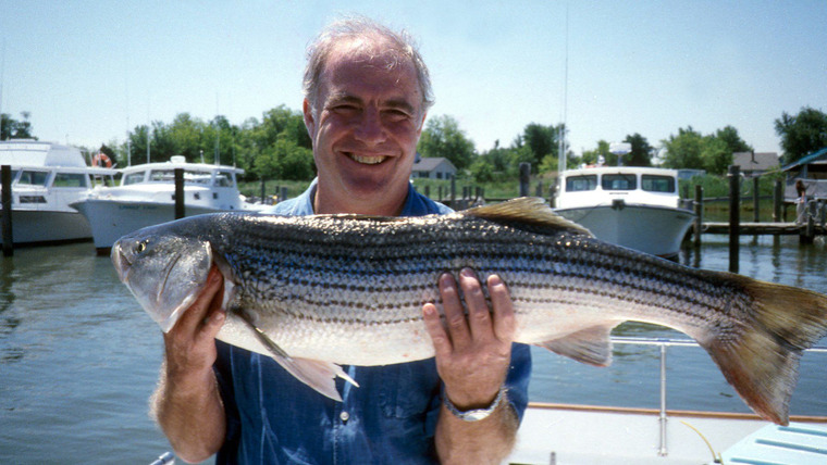Rick Stein's Seafood Odyssey — s01e06 — Striped Bass