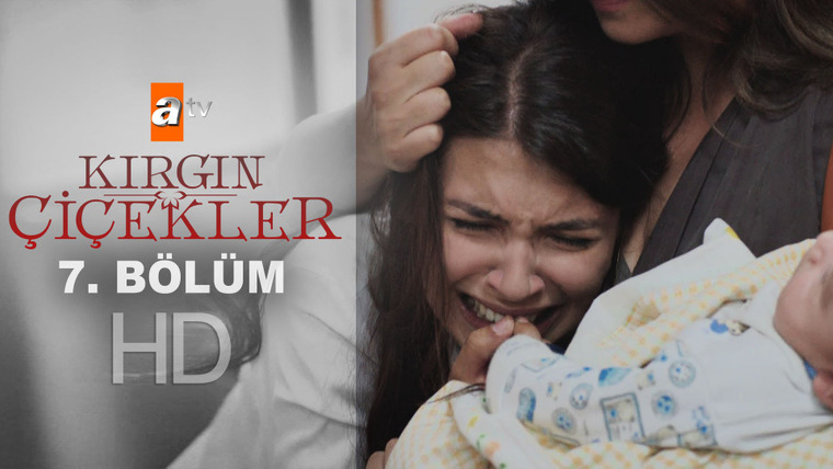 Kırgın Çiçekler — s01e07 — 7.Bölüm