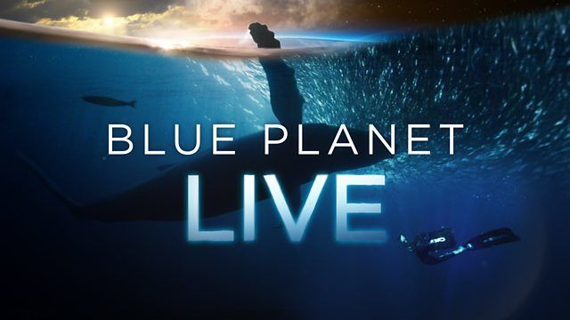 Blue Planet Live — s01e01 — Episode 1